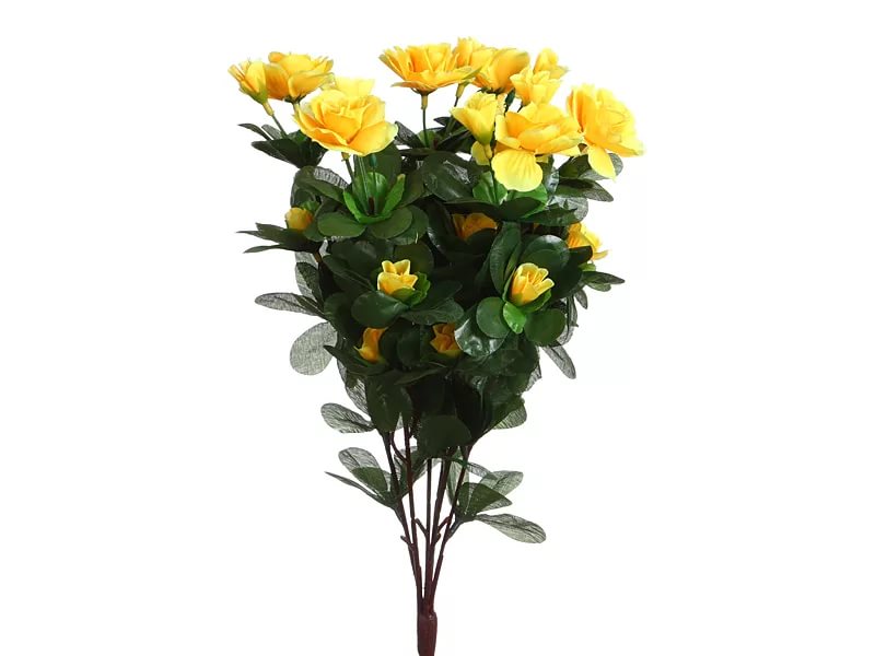 http://www.ritualflowers.ru/images/i.jpg