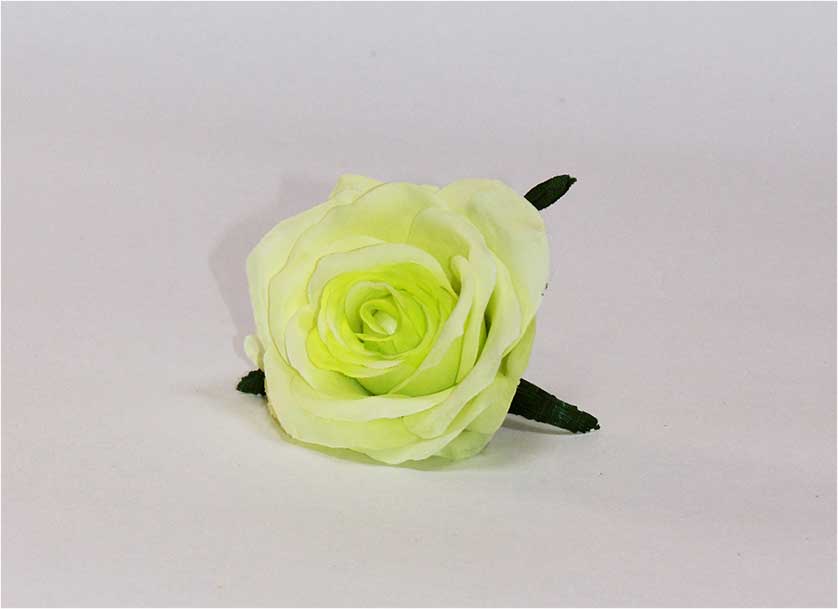 Роза d=7 см 1/20 фисташковый