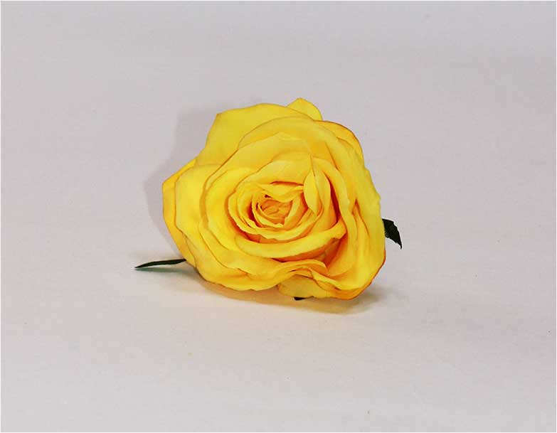 Роза d=7 см 1/20 желтый