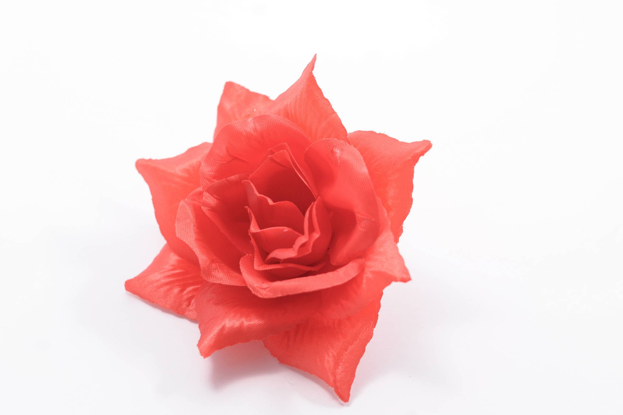 Роза игольчатая атлас 5 сл d=14 см 1/50 DSC_3011