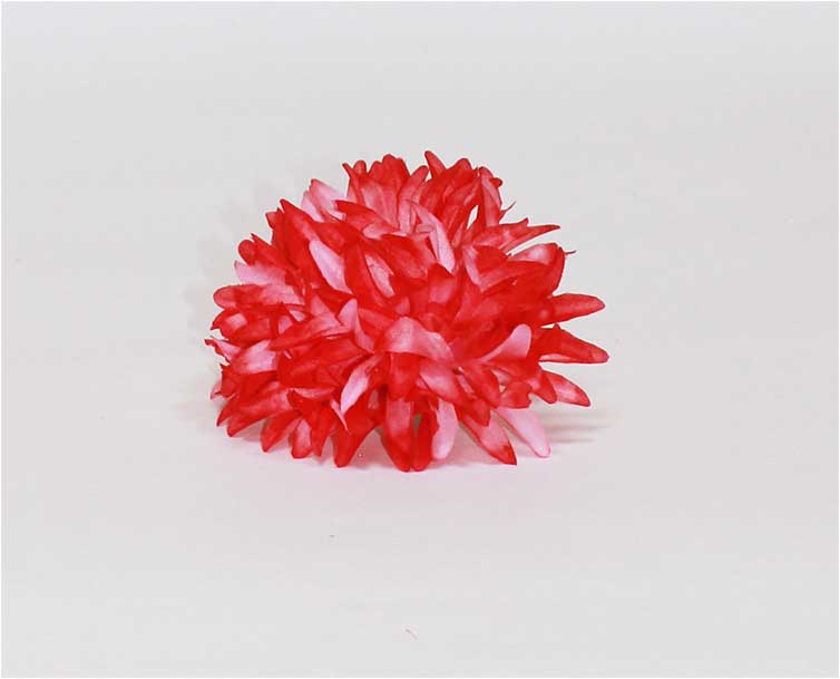 Хризантема кудрявая шелк 6 сл d=12 см 1/80 красно-белый