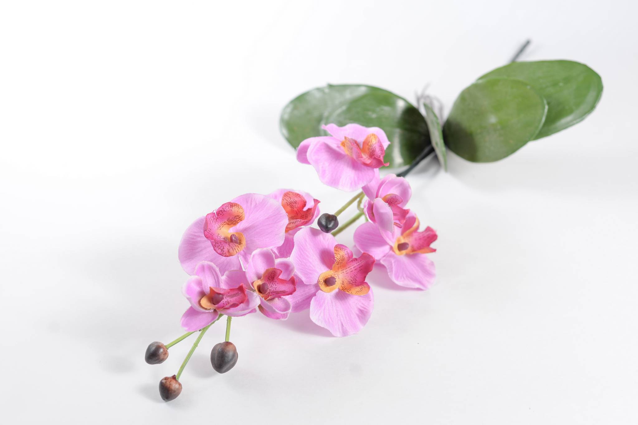 Орхидея h=60см 1/1 малиновый