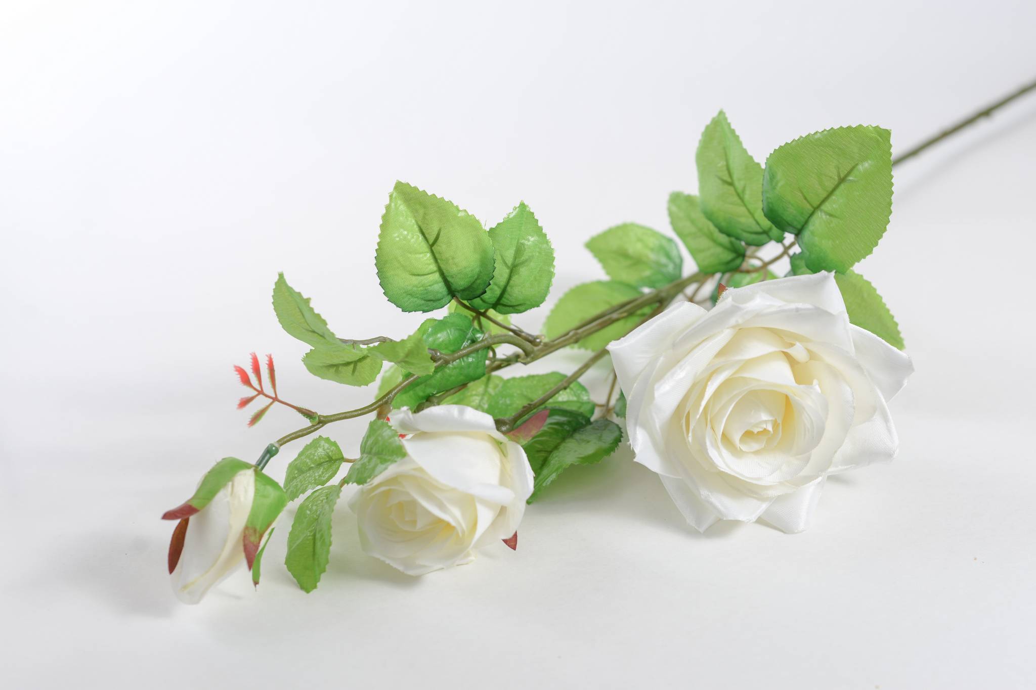 Роза 2 гол + 1 бут h=78 см 1/2 белый