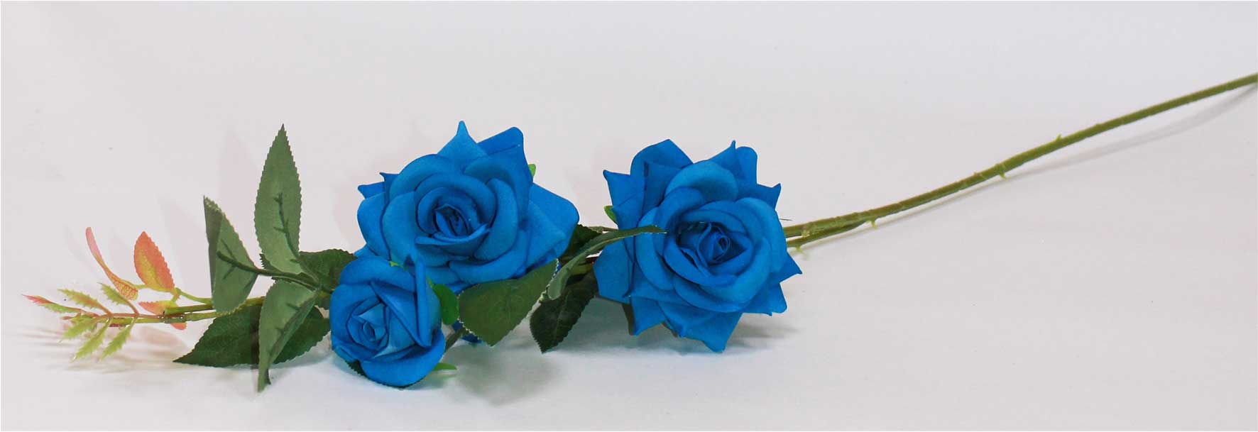 Роза бархат 2 гол + 1 бут h=75 см 1/1 синий