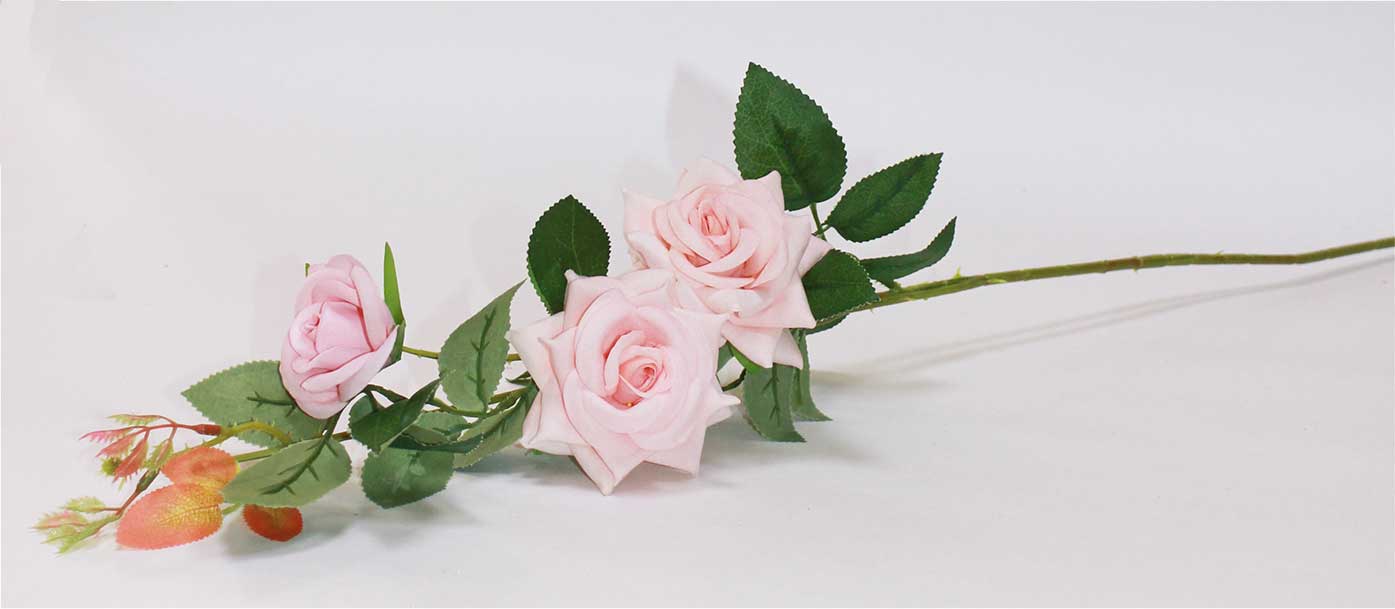 Роза бархат 2 гол + 1 бут h=75 см 1/1 бледно-розовый