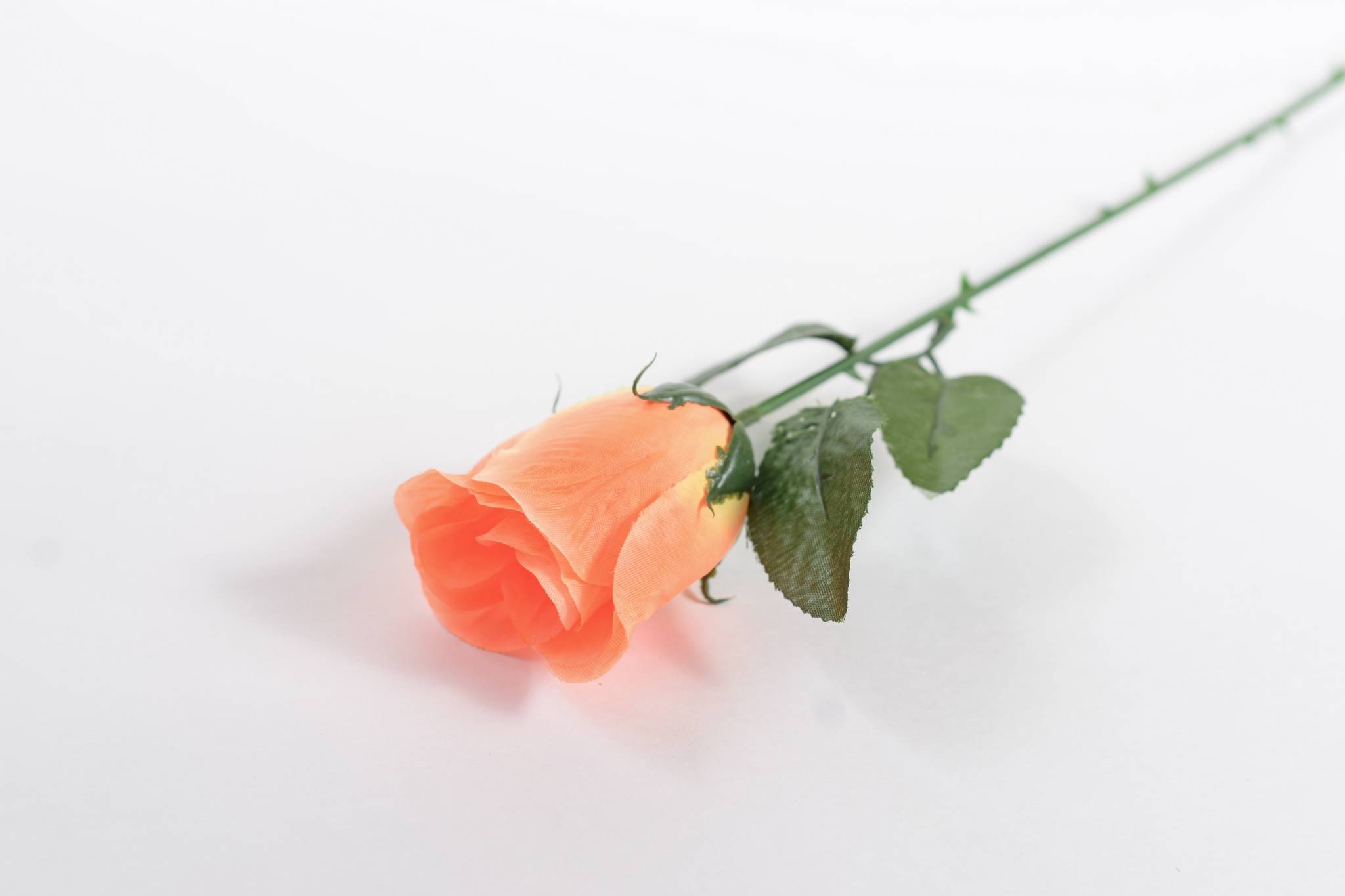 Роза атлас h=57см 1/100 МИКС оранжевый