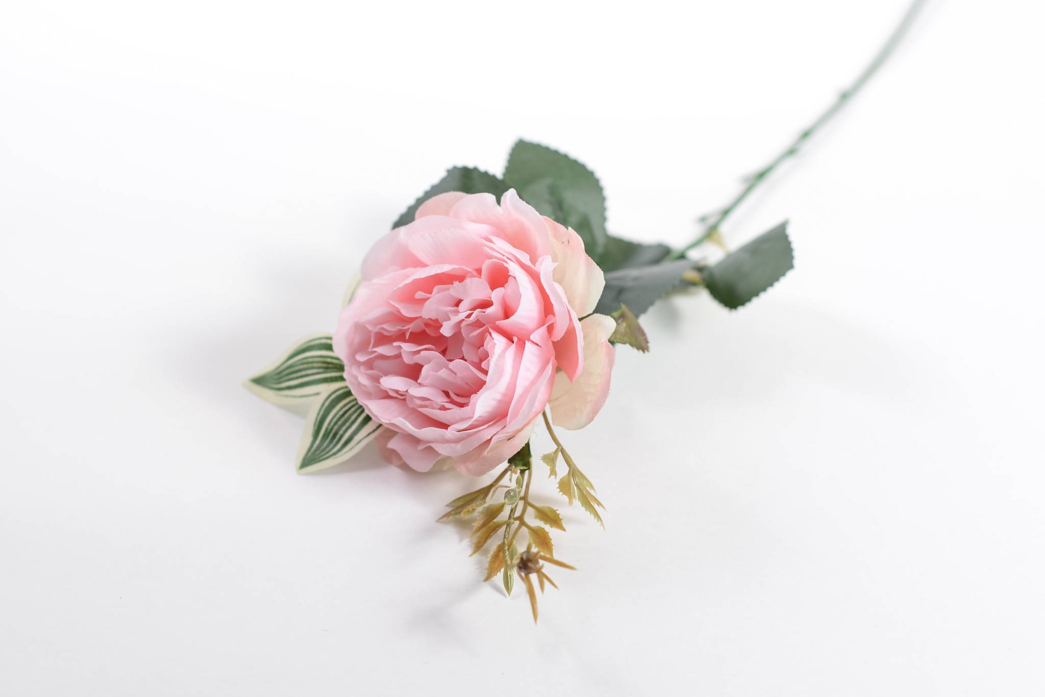 Роза h=57 см 1/10 розовый