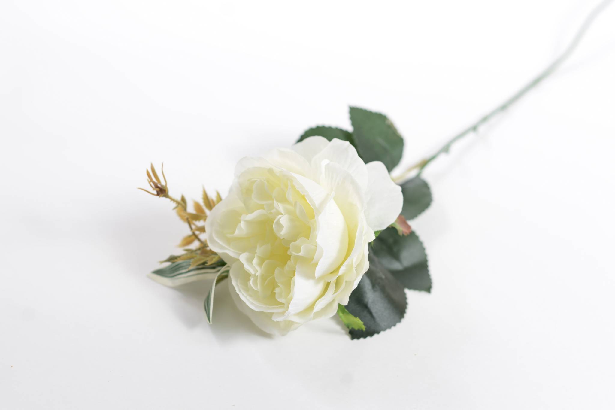 Роза h=57 см 1/10 белый
