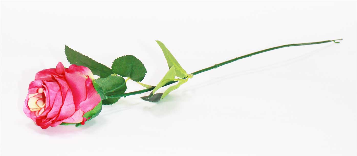 Роза h=60 см 1/10 малиновый