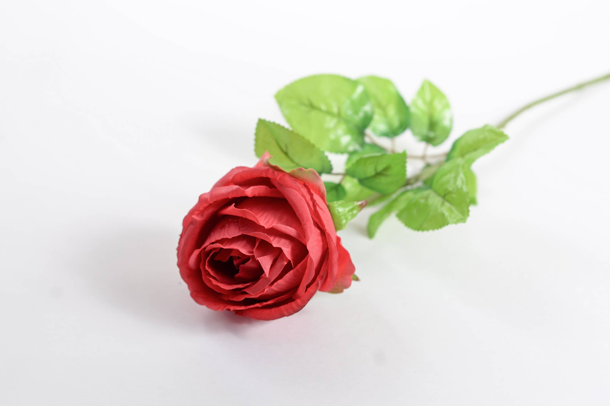Роза h=68 см 1/2 красный