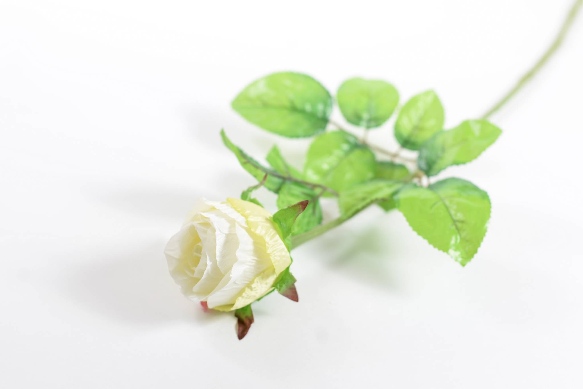 Роза бутон h=65 см 1/5 белый