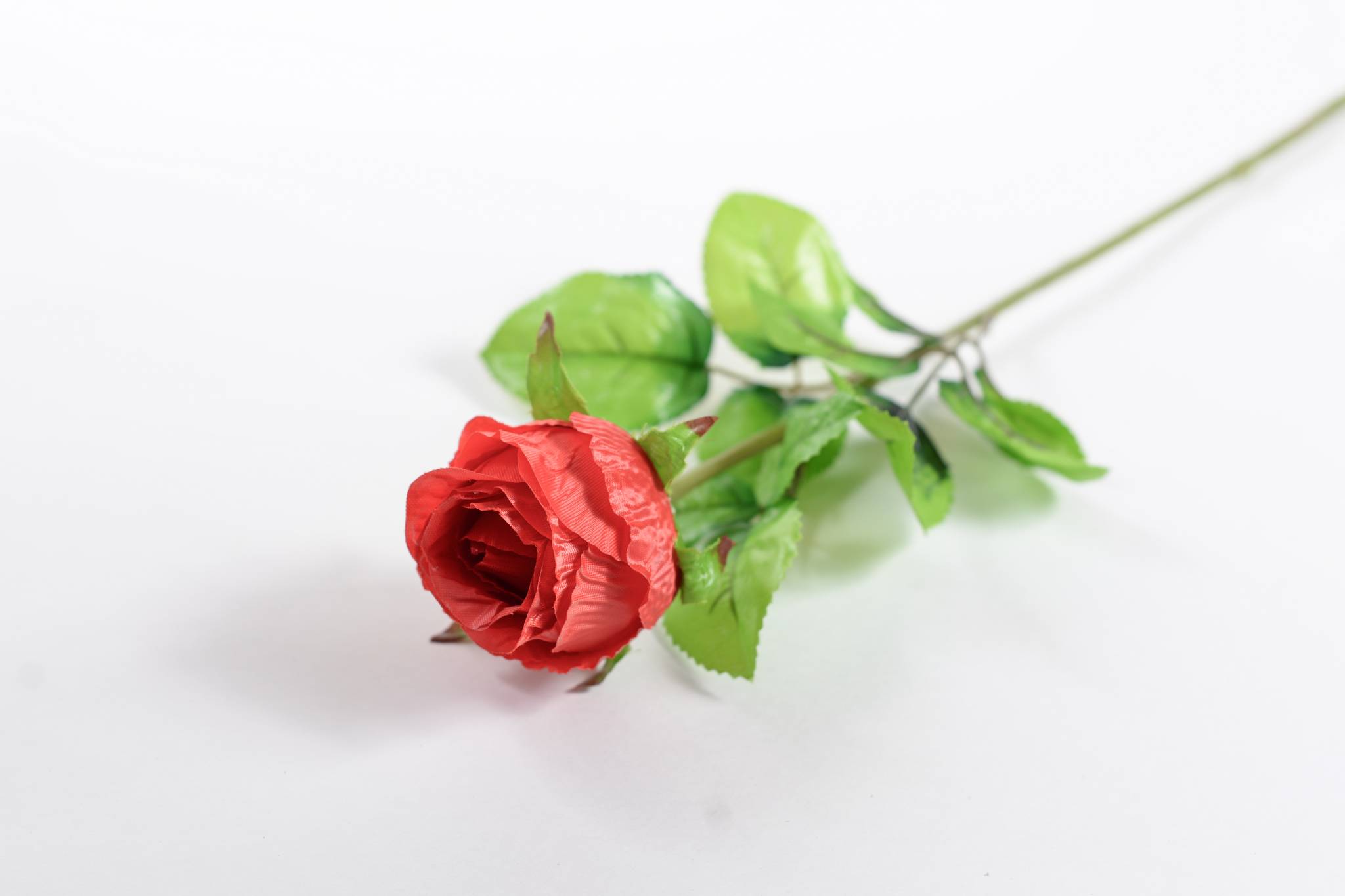 Роза бутон h=65 см 1/5 красный