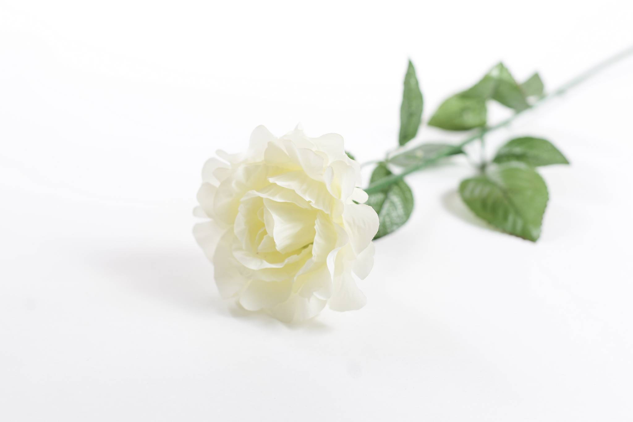 Роза h=63 см 1/6 белый
