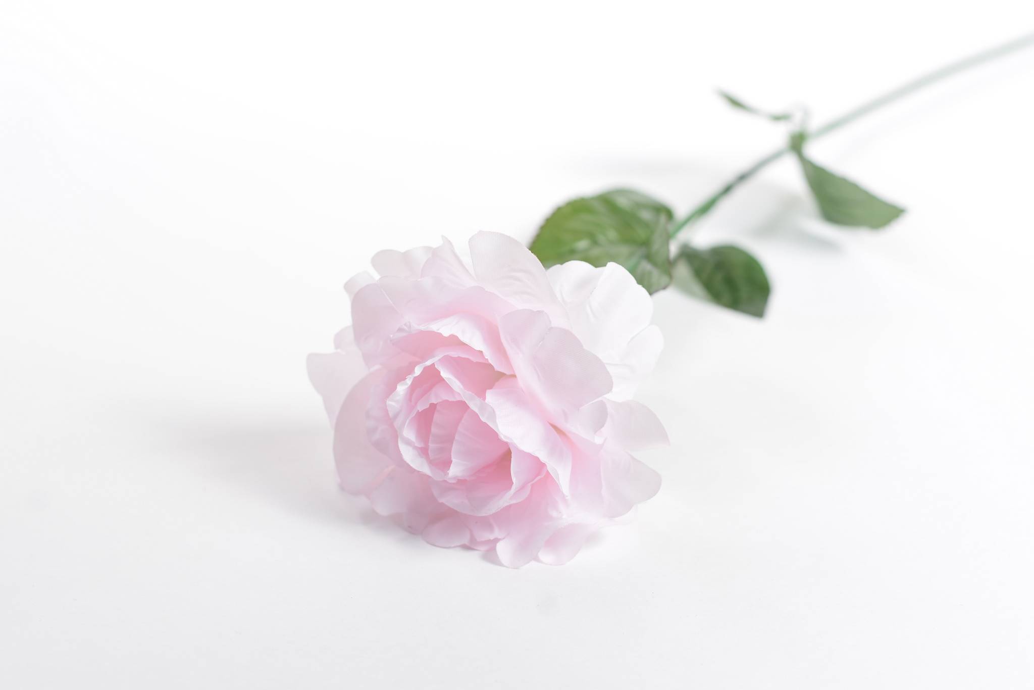 Роза h=63 см 1/6 розовый