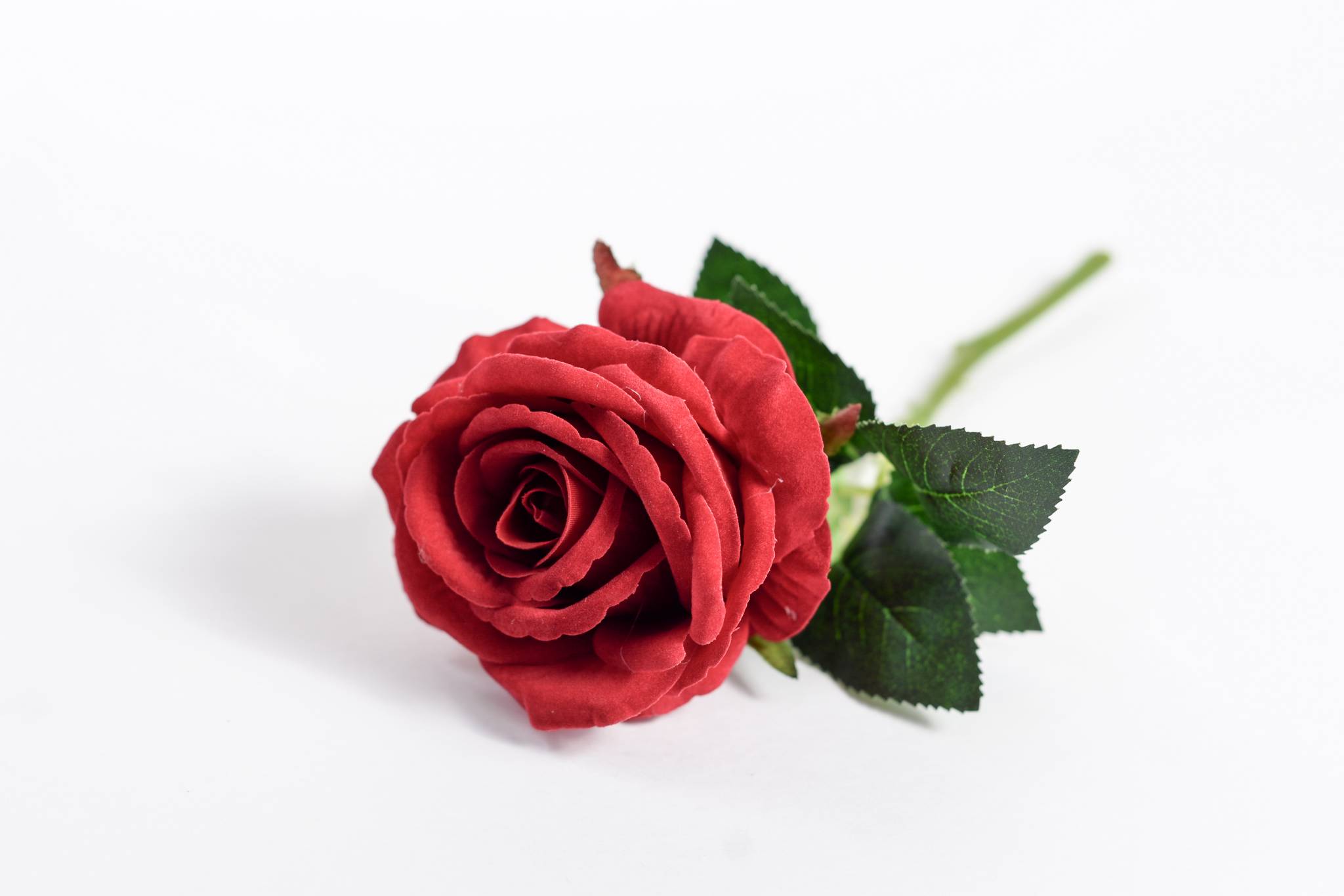 Роза бархат h=30 см 1/1 красный