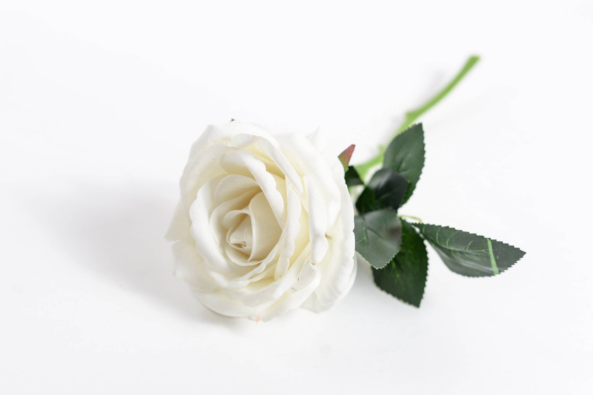 Роза бархат h=30 см 1/1 белый