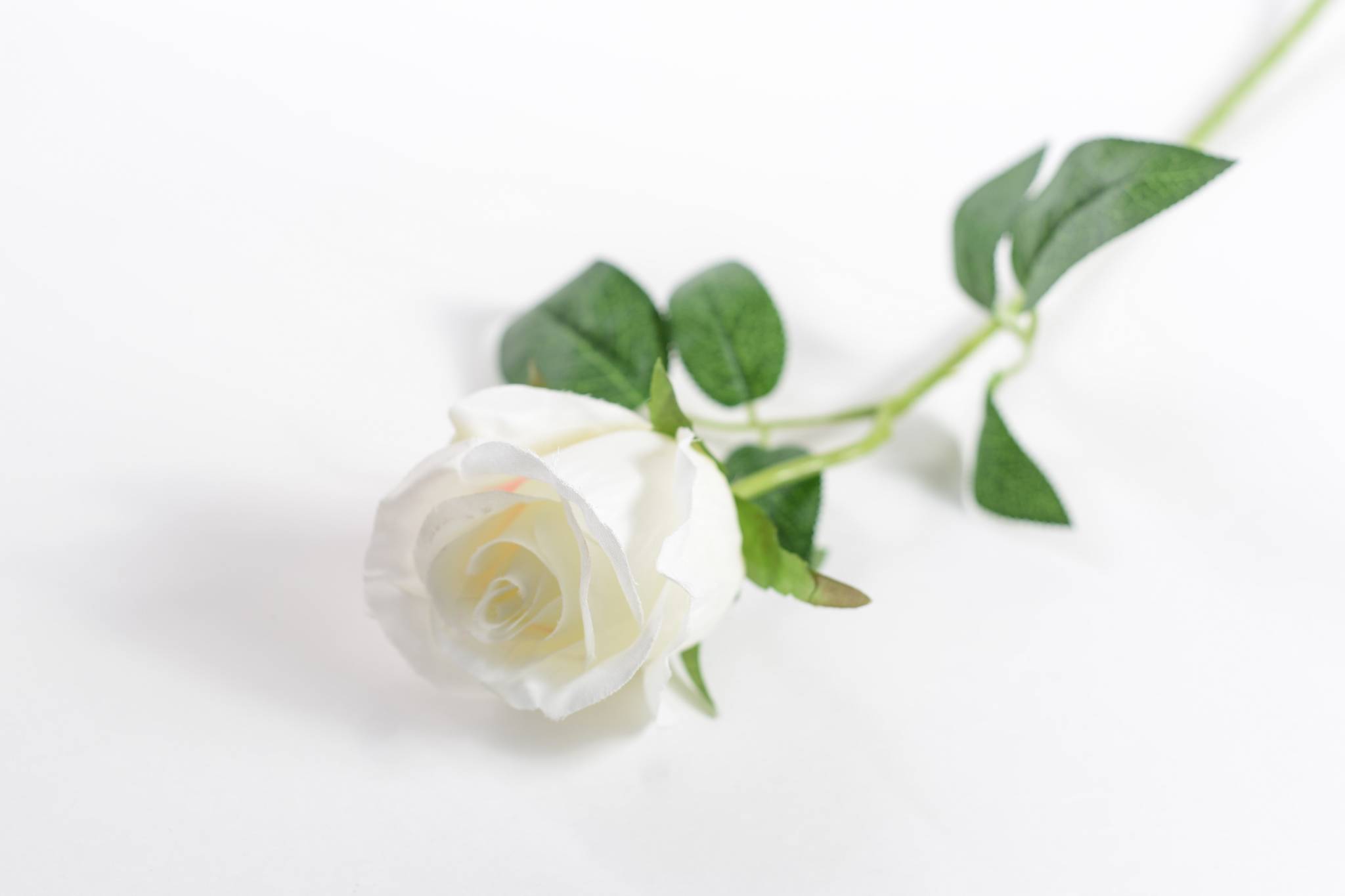 Роза хлопок h=52 см 1/1 белый