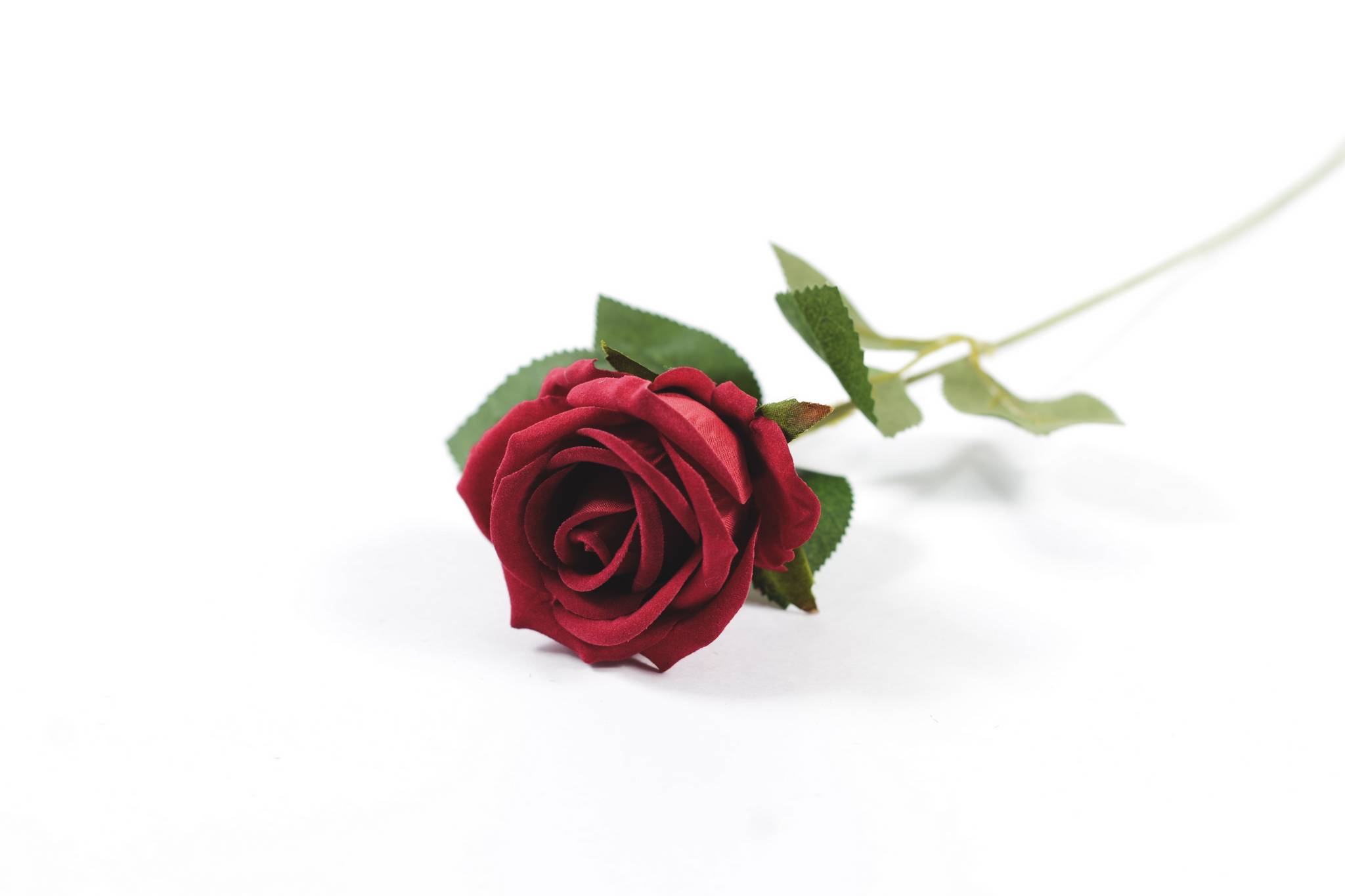 Роза бархат h=51 см 1/1 красный