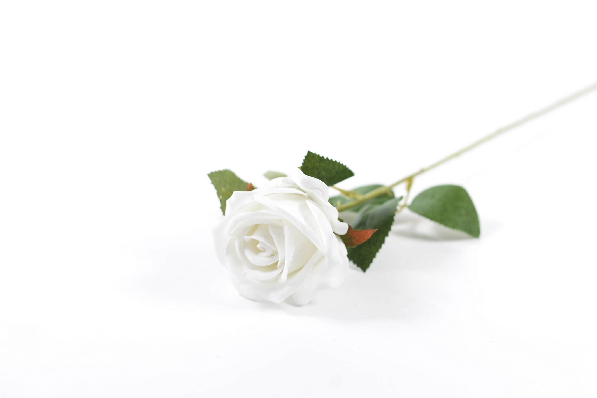 Роза бархат h=51 см 1/1 белый