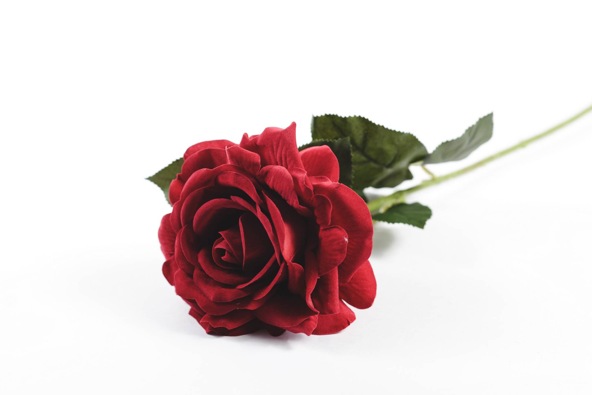 Роза бархат h=75 см 1/1 красный