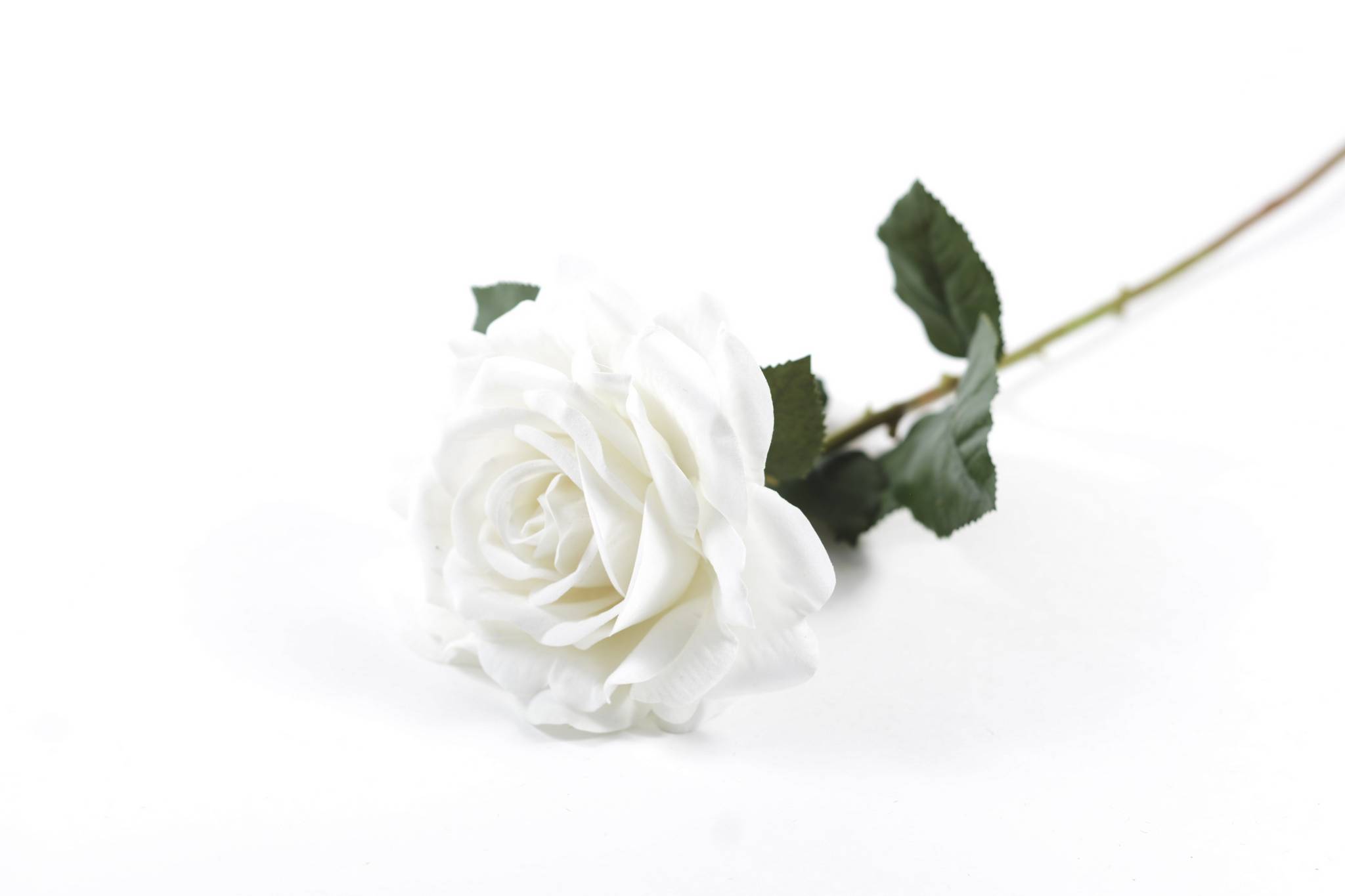 Роза бархат h=75 см 1/1 белый