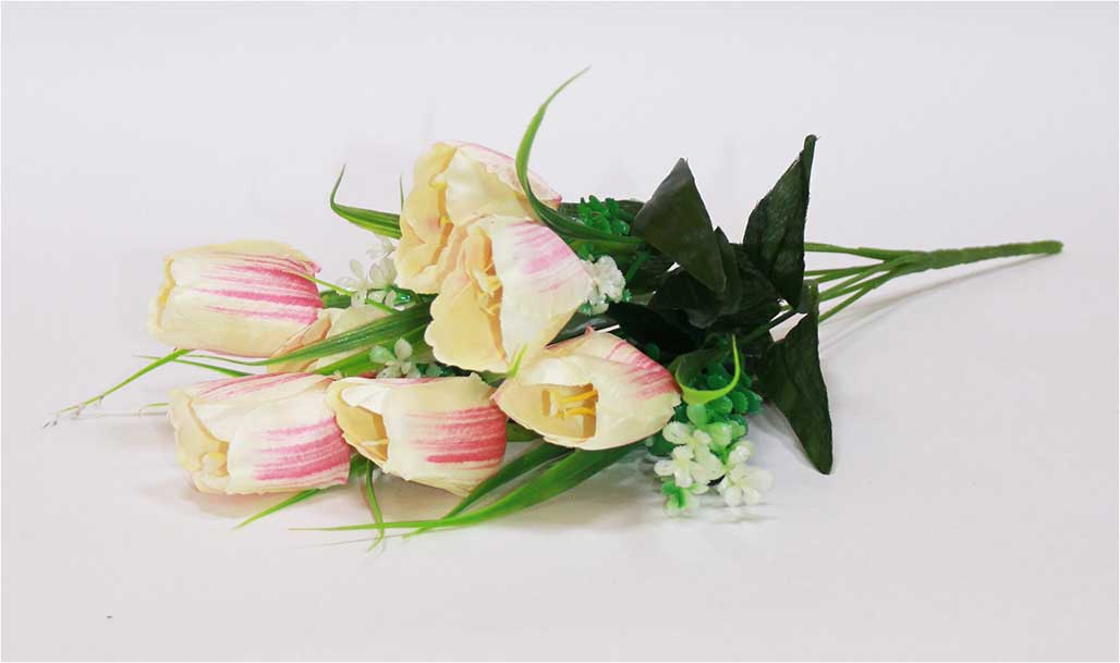 Тюльпан 7 гол h=37 см 1/2 бело-розовый